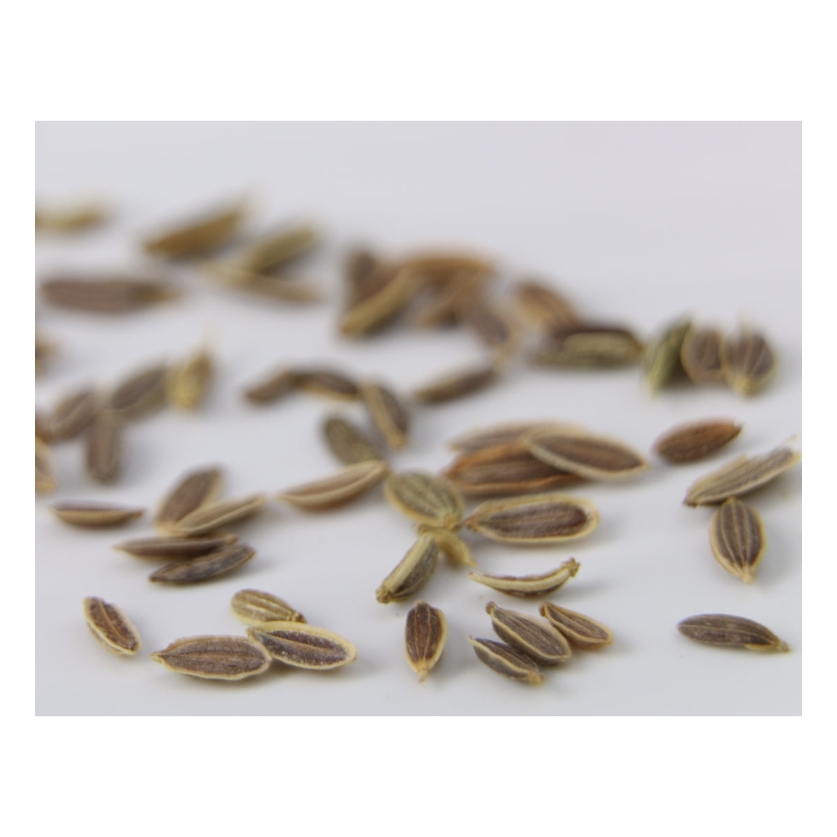 Spices – Page 2 – Zamouri Spices